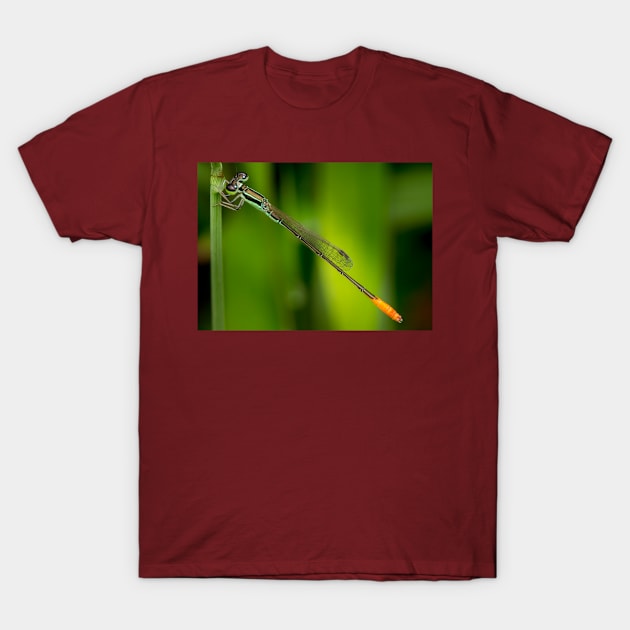 A male wandering wisp (Agriocnemis pygmaea) T-Shirt by AvonPerception